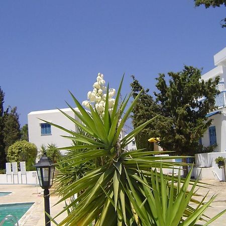 Ikaria Village Maisonette 12 Paphos Eksteriør billede