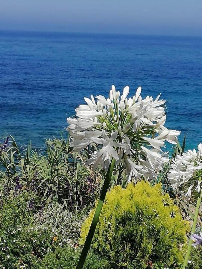 Ikaria Village Maisonette 12 Paphos Eksteriør billede