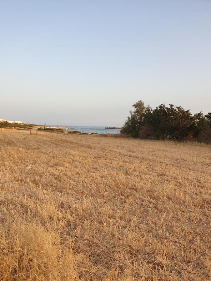 Ikaria Village Maisonette 12 Paphos Eksteriør billede