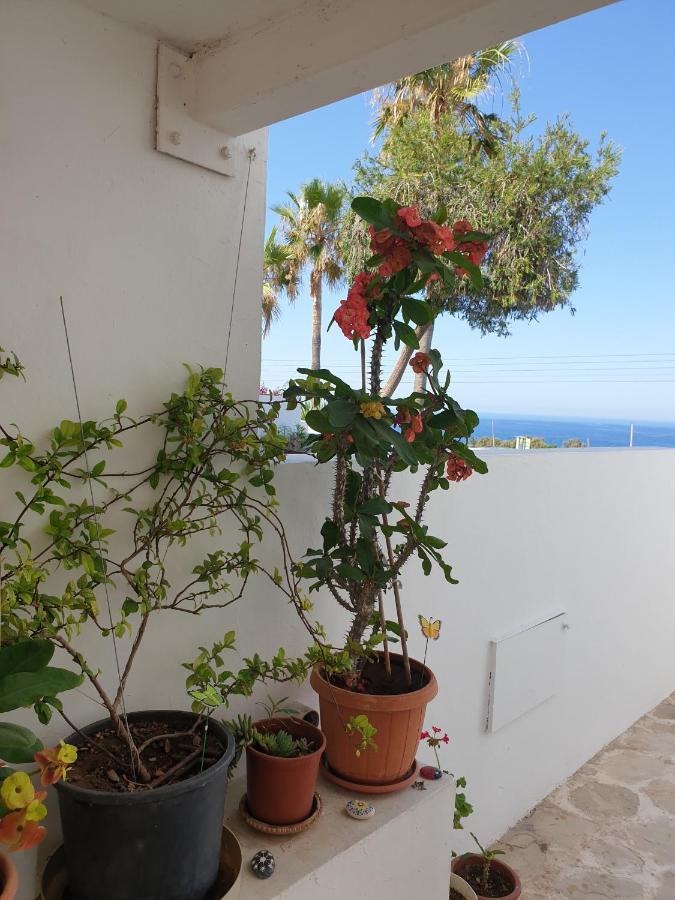 Ikaria Village Maisonette 12 Paphos Eksteriør billede